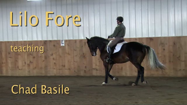 Young Dressage Horse, Training Level ...