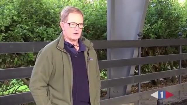 Leaning on the Bit, counter canter, f...