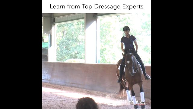 Dressage Today OnDemand - Dressage Tr...