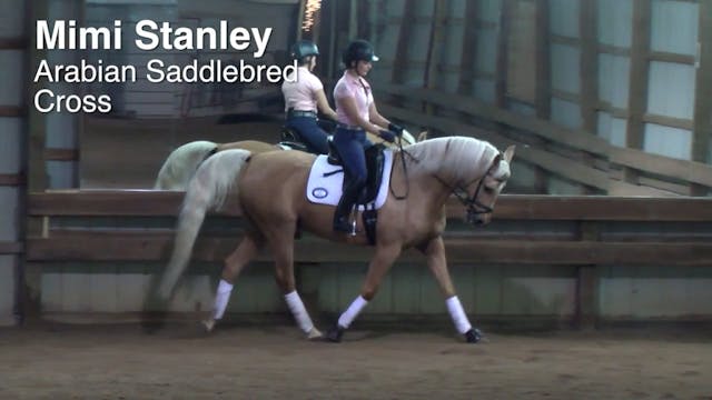 Arabian-Saddlebred Cross, Part 1