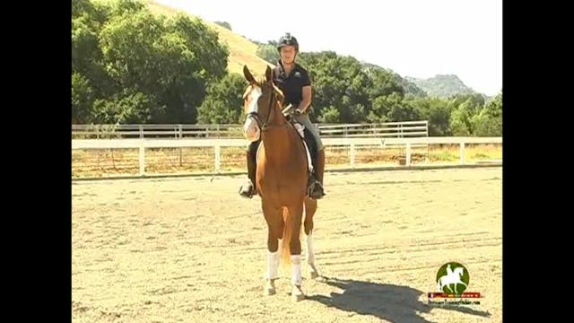 Getting the horse lighter in the cont...