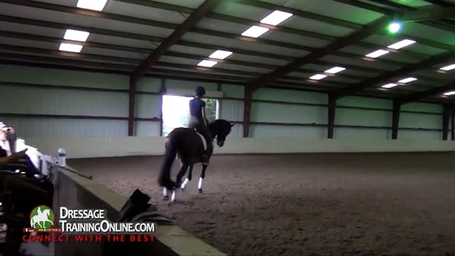 Straightness - Canter Pirouettes and ...