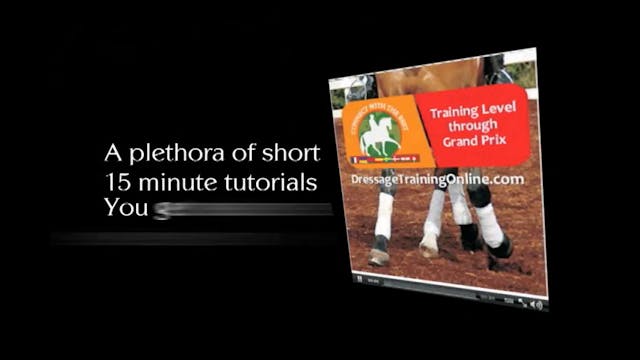 Exercises for Elasticity | Shannon Pe...