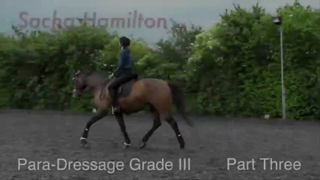 Sacha Hamilton - Para-Dressage Grade ...