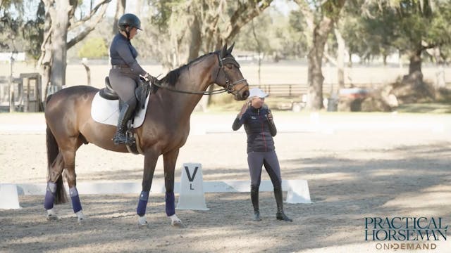 Modified Level Dressage | Jan Byyny