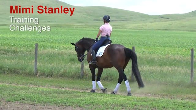 Training Challenges | Mimi Stanley | ...