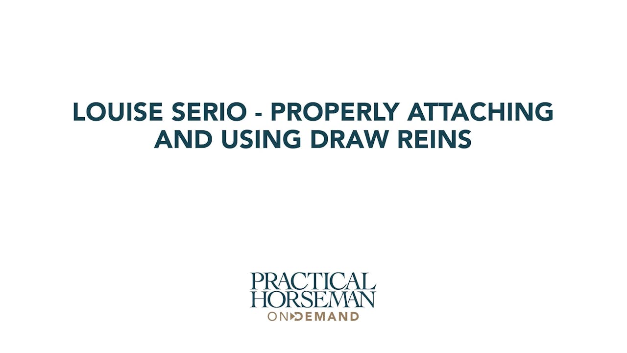 Properly Attaching and Using Draw Reins for Hunters Equestrian+