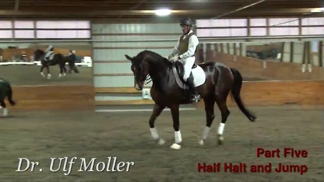  First Level Canter, Half Halt & Jump...