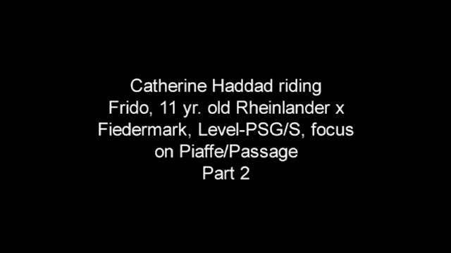 Focus on Piaffe/Passage, Level-PSG/S ...