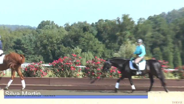 Practice Dressage Tests Group 2