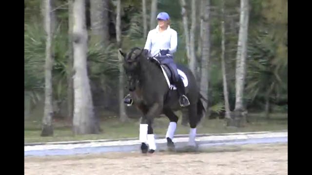 Six Year Old Test, Keeping the Horse ...