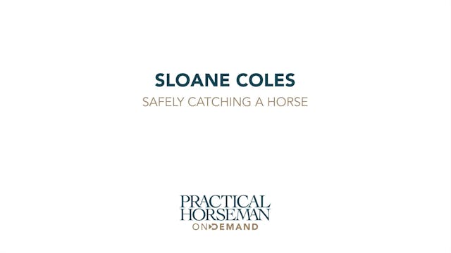 Safely Catching a Horse | Sloane Coles