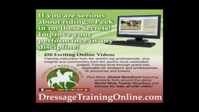 Basics of How to Sit the Trot | Cathe...