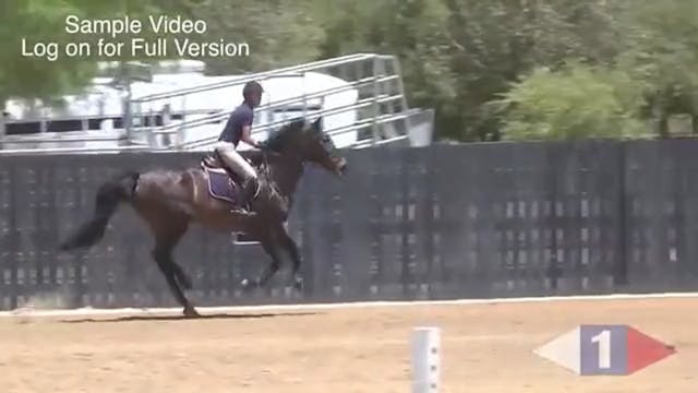 The Right Speed For Show Jumping | Su...