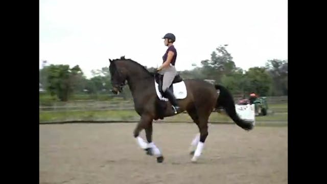 Developing the gaits and understandin...