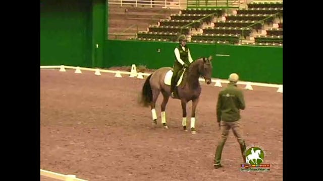 2009 Adequan/USDF Symposium | Jan Bri...