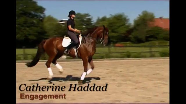 Engagement with Catherine Haddad