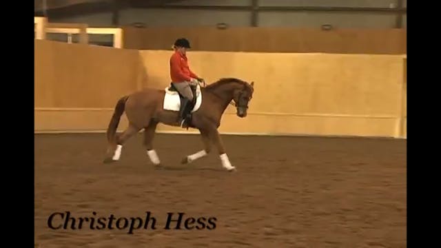 Canter Rhythm | Christoph Hess | PART 03