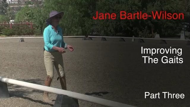 Improving the Gaits | Jane Bartle-Wil...