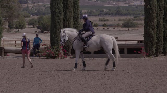 Warm-up Over Fences for Cross Country