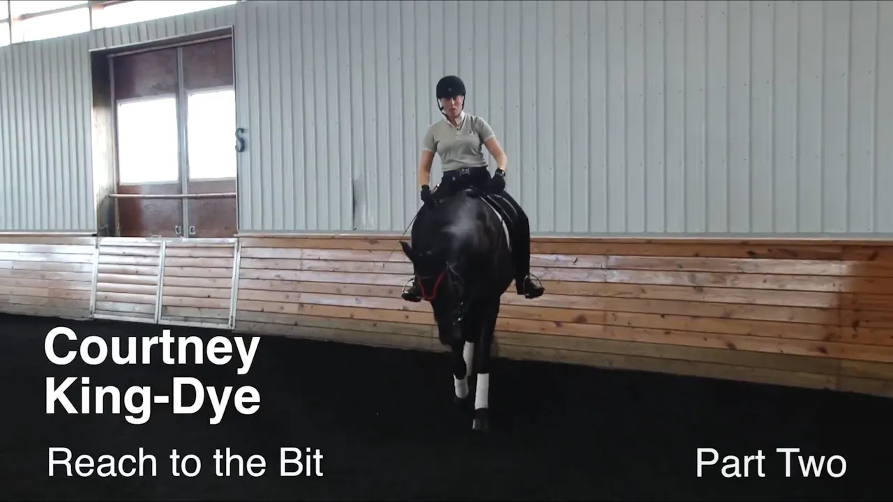 Reach to the Bit Courtney KingDye PART 02 Equestrian+