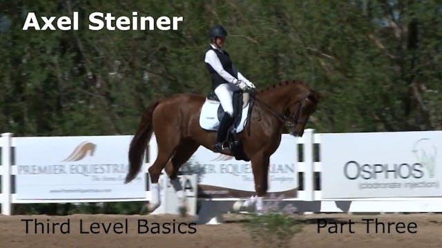 Third Level Basics | Axel Steiner | P...