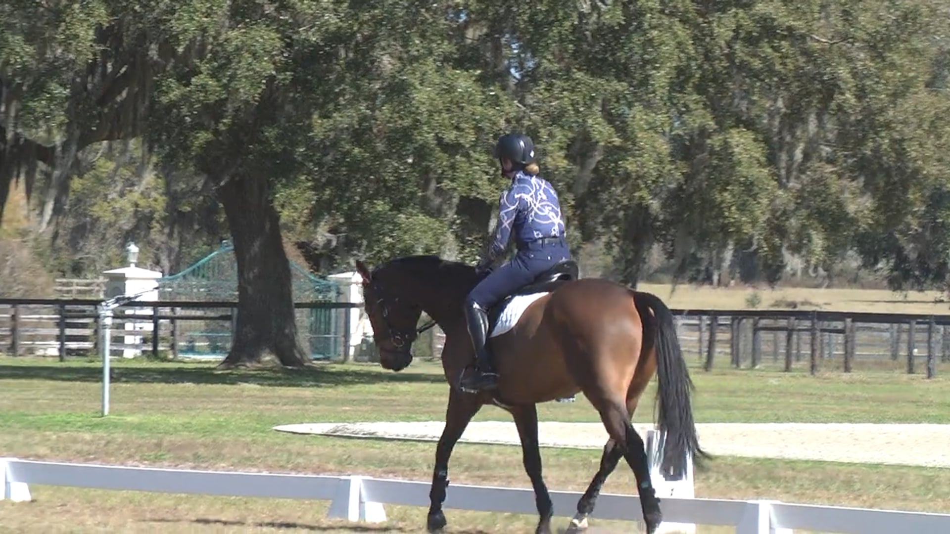 Connection | Jane Hamlin | TRAILER