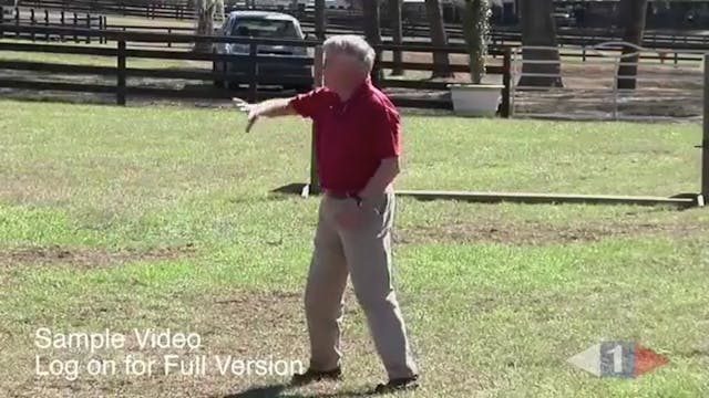 Trailer - ICP Clinic, Stride Control