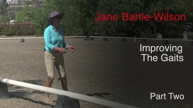 Improving the Gaits | Jane Bartle-Wil...