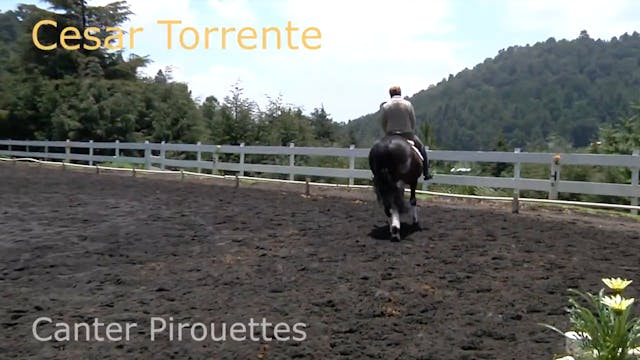 Canter Pirouettes, Walk Pirouette | C...