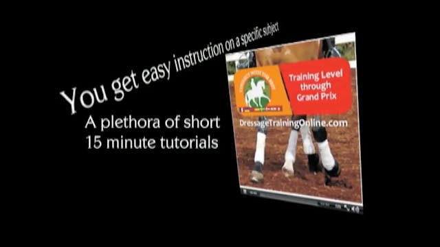 Sitting Trot Tip for All Levels | Cat...