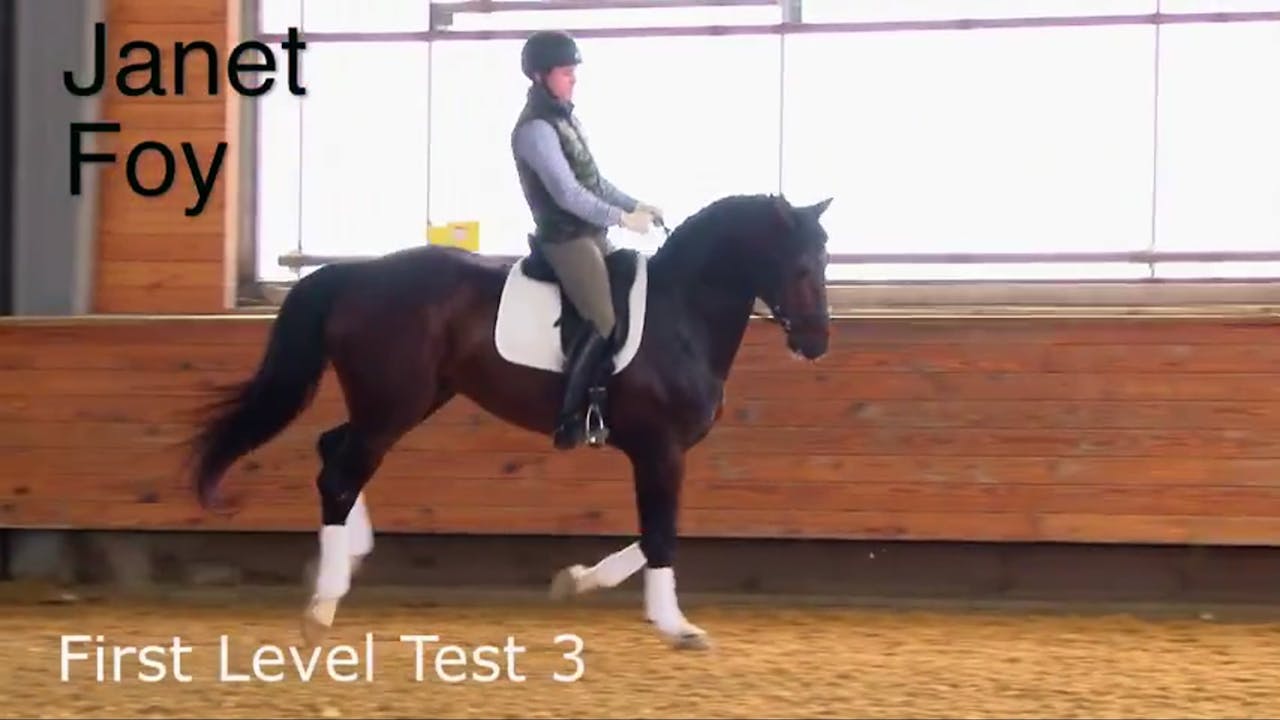 First Level Test 3 Part 2 Equestrian+