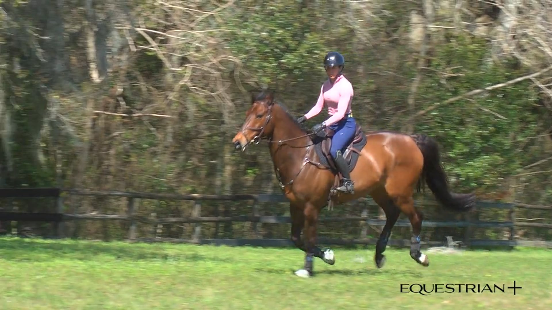 Four-Star Stadium School | Buck Davidson