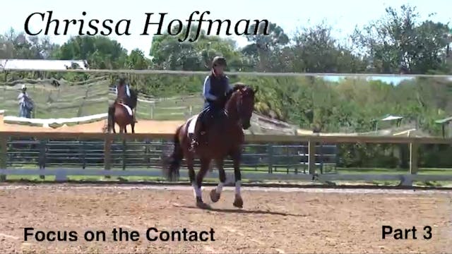 Focus on the Contact | Chrissa Hoffma...