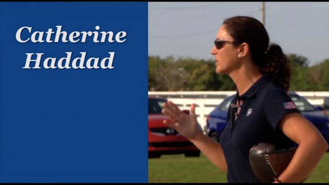 Training System 3 | Catherine Haddad ...