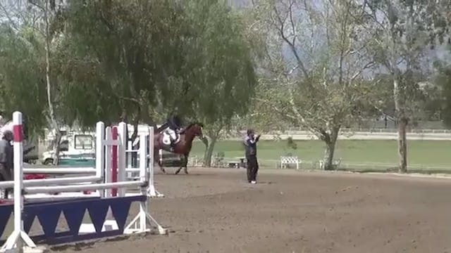 Finding the Canter Rhythm, Intro