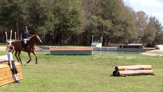 Young Horse Warm-up Course | William ...