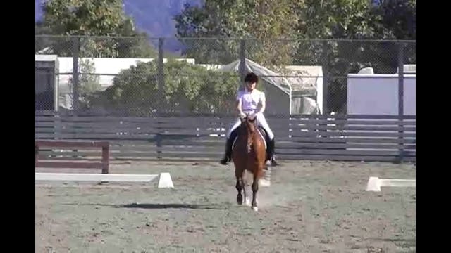 Hilda Gurney judging Second Level Tes...