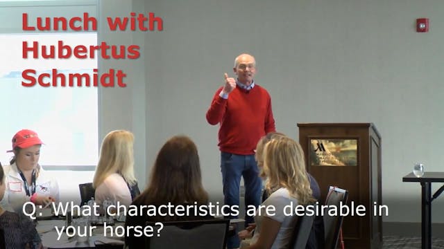 Desirable Characteristics in Horses