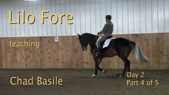 Young Dressage Horse, Training Level ...