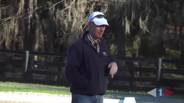 ICP Clinic - Stadium Jumping, Part 7