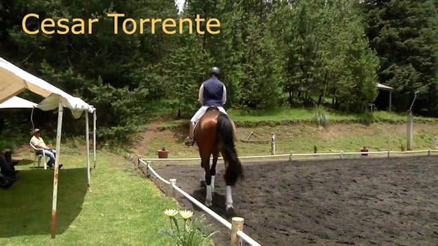 Forward and Soft | Cesar Torrente | P...