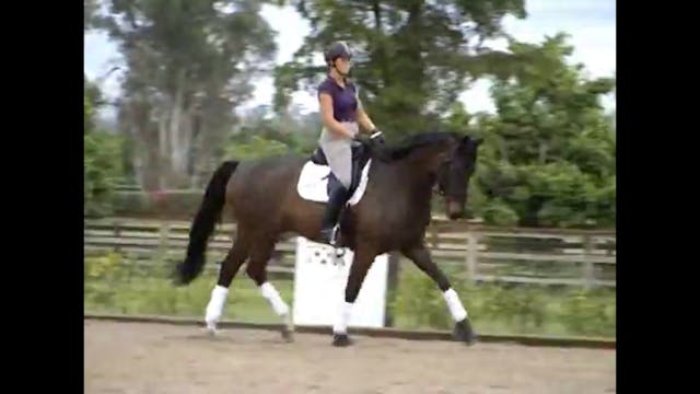 Developing the basic gaits, creating ...