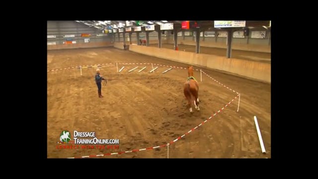 Basic Training in Lunging | Lammert H...