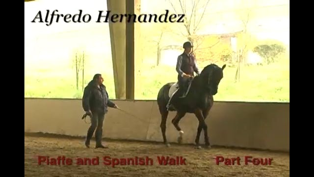 Piaffe and Spanish Walk Training | Al...