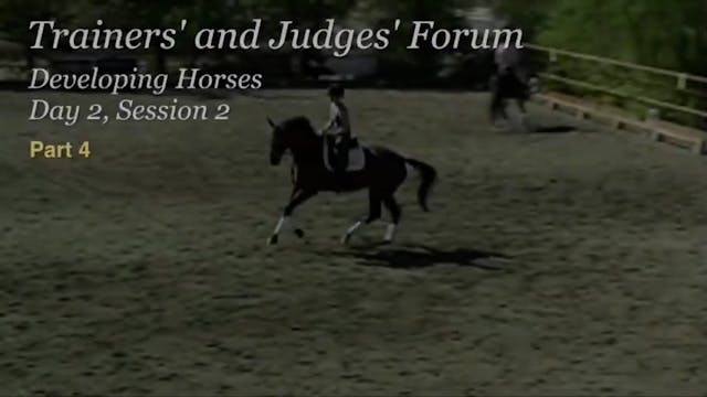 Developing Horses, Activity, Half Ste...