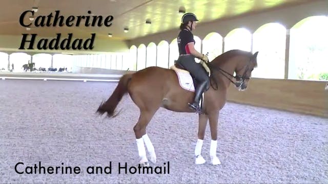 Training the Grand Prix Horse, Part 3