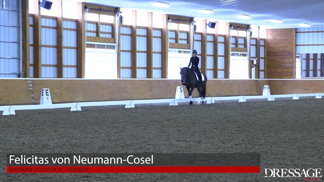 All Levels,  Collective Marks - Impul...