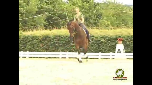 Understanding How to Make a Better Tr...