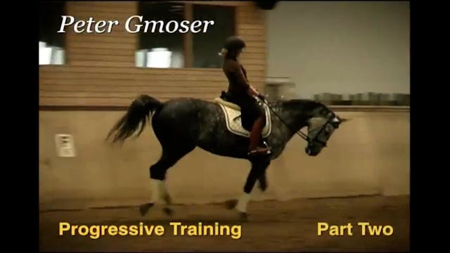 Getting your horse sensitive with Cou...